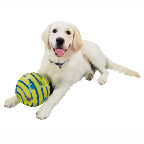 Ball puppy outlet