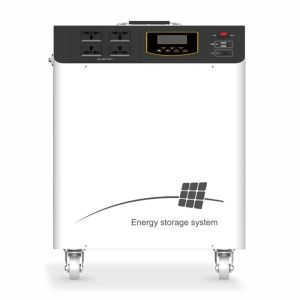 1000W LIFEP04 SOLAR POWER STATION